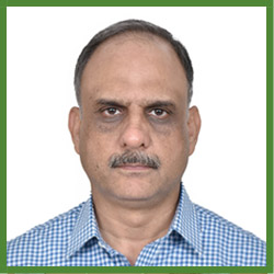 Shehzad Mehmood